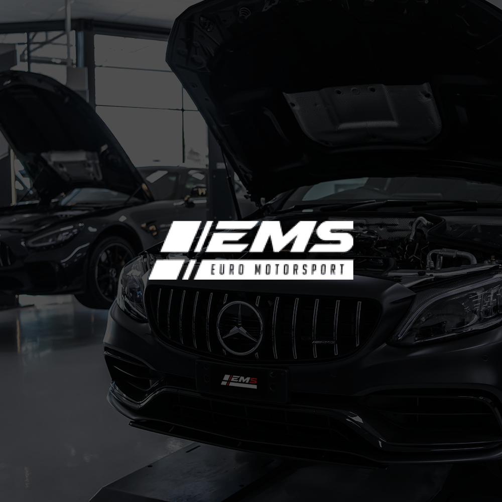 Euro Motorsports EMS